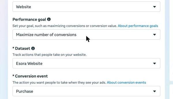 The conversion section: Website, Maximize number of conversions, the dataset, and the Purchase event