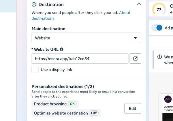 The Destination section with the Esora tracking link as the website URL